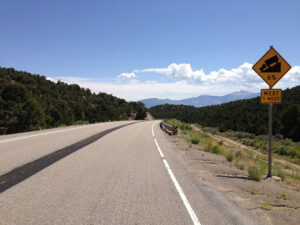 3 car accident in fallon hwy 50 nevada