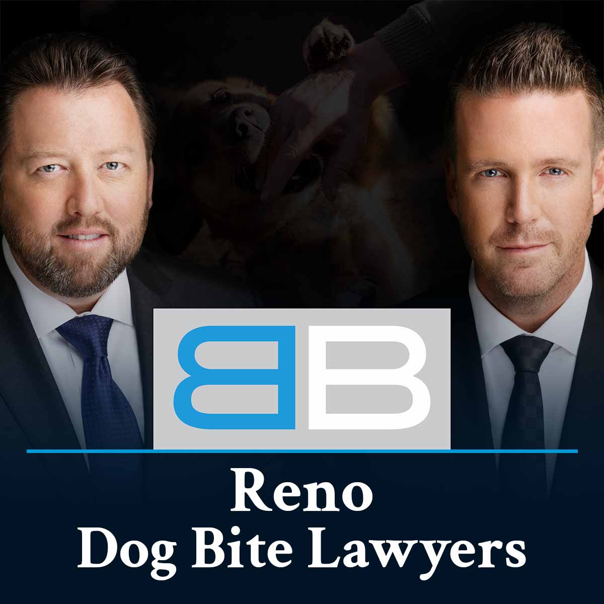 Reno Lawyers For Dog Bite Injuries